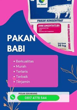 Jual Pakan babi denpasar timur, Call. 0817 4778 544, BERKUALITAS…!!