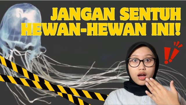 5 Hewan Paling Beracun di Dunia, Kecil Tapi Mematikan-Serius Ini Hewan?