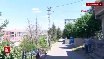 Diyarbakır’da keçiye dokununca akıma kapılan kadın öldü