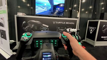SIMULATEUR AVION : Prenez de la HAUTEUR avec cette EXPÉRIENCE IMMERSIVE !