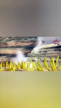 سيدنا نوح عليه السلام و ارشاد الناس لعبادة الله - قصص القرأن الكريم
