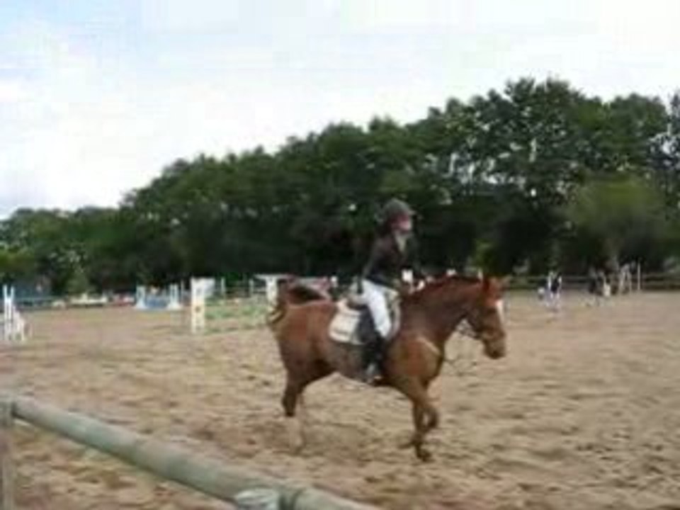 Nantes / Chapelle sur Erdre : sauts d'obstacles Port-Barbe