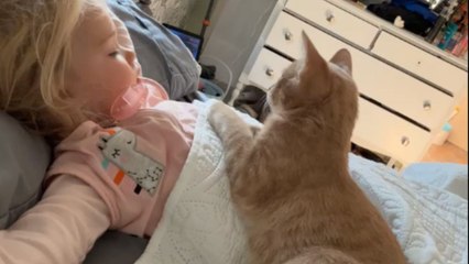 Cat tries to wake up baby girl just for a sweet petting session