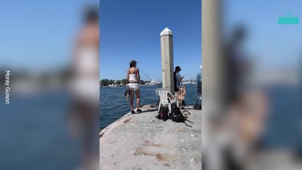 Sea Lion Steals Catch From Fishingwoman