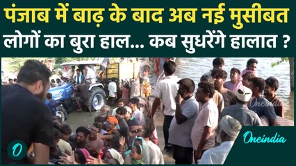Punjab Flood : पंजाब में बाढ़ के बाद बीमारियों का खतरा, एडवाइजरी जारी  | वनइंडिया हिंदी