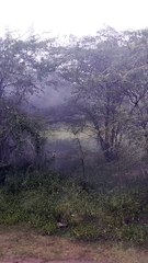 Beautiful rain shorts video in tamil for shorts