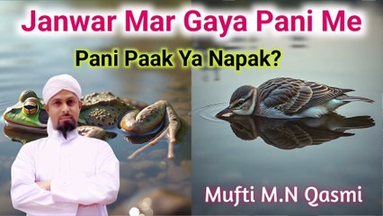 Pani Me Mara Hua Janwar Mil Jaye | Pani Paak Hai Ya Napaak? #islamicmaslemasail