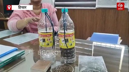 "फ्रूट फ्लाई" की अब नो टेंशन, हरियाणा कृषि विश्वविद्यालय ने बनाया सबसे सस्ता ट्रैप, चुटकियों में होगी प्रॉब्लम सॉल्व