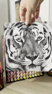 Après 7 heures de travail sur ce dessin réaliste d’un tigre, voici le résultat…. #dessin #art #drawing
