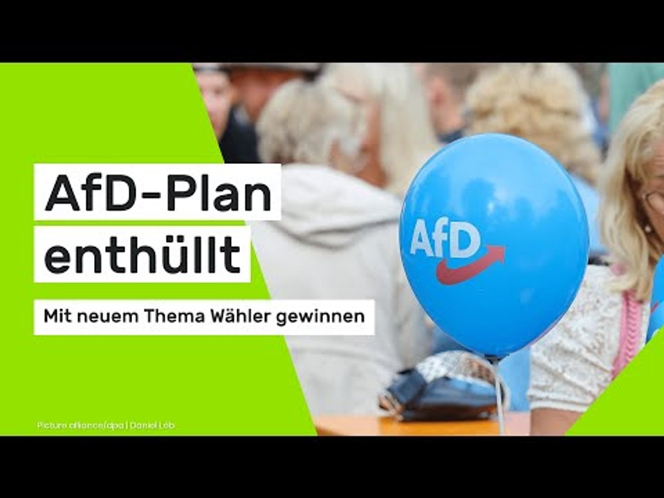 AfD-Plan enthüllt: Mit diesem Thema wollen die Rechtspopulisten neue Wähler gewinnen