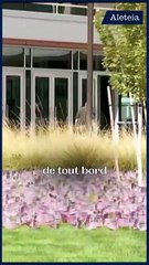 Tragédie aux États-Unis : la mort de Charlie Kirk choque la nation