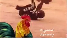 What is happening here
