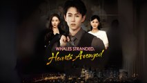 Whales Stranded, Hearts Avenged Engsub - Full Movie