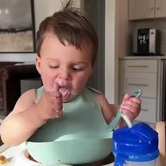 Introdução alimentar