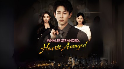 Whales Stranded, Hearts Avenged Engsub - Full Movie