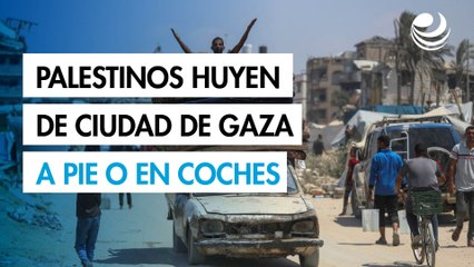 Miles de palestinos huyen de Ciudad de Gaza a pie o amontonados en camionetas