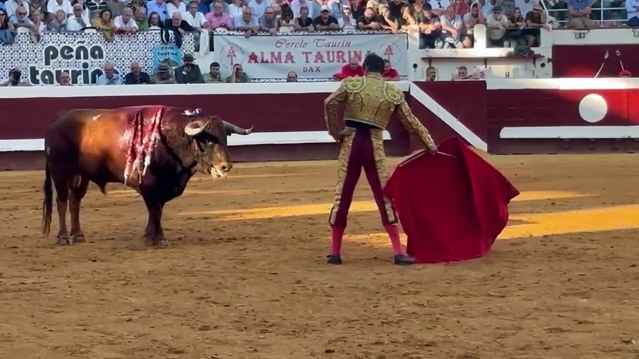 video dax 14-9-2025