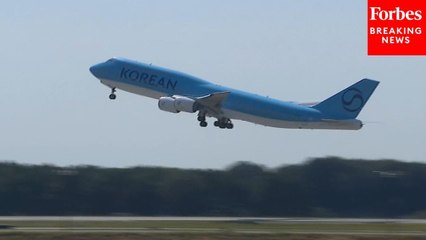 South Korean Hyundai Workers Repatriated Following ICE Raid