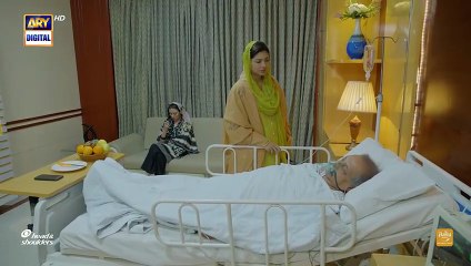 Sher Episode 33 Danish Taimoor Sarah Khan 11_Sep 2025 ARY