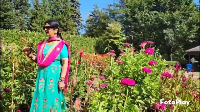 Sayonara Sayonara by Chitralekha Dixit