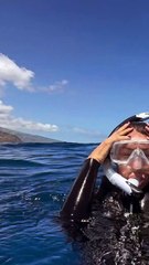 Pampita nadando entre las ballenas en la Polinesia Francesa