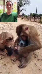 What is going on here