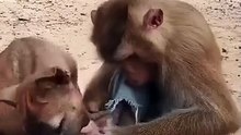 What is going on here