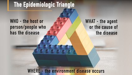 Understanding Epidemiology: The Key to Tracking and Preventing Diseases 🦠