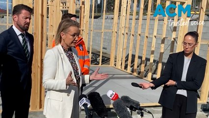 Sussan Ley apologises to Indian community after Jacinta Price's comments