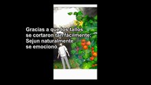 CULTIVANDO EN LA TORRE SOLITARIA NOVELA PARTE -65