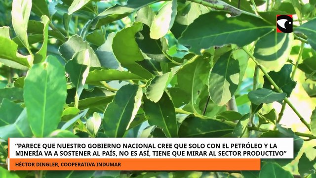 Mesa del Norte Grande | “Necesitamos fuerza para llevar nuestros reclamos\