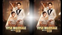 Secret Heiress Flash Marriage With The Ceo ❤️