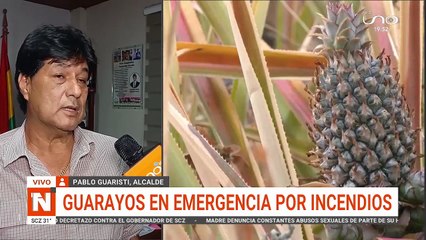 GUARAYOS EN EMERGENCIA POR INCENDIOS