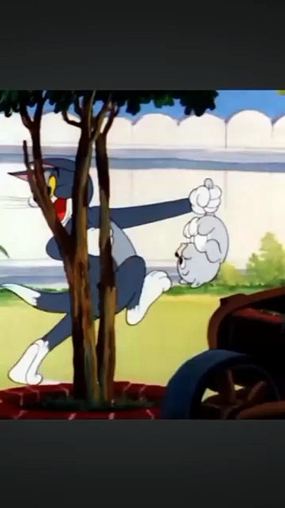 Tom and Jerry 🐱🐭 @_cartoon__page_ ..#Like #Share #Algorithm #Reach #Insights #Reels growth #Tr