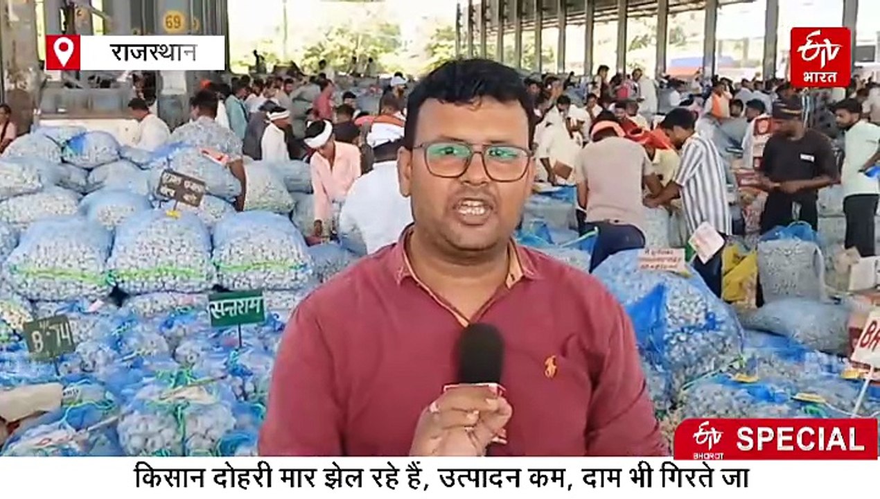 कोटा में लहसुन किसानों पर संकट, बंपर उत्पादन के बावजूद लागत भी निकलना मुश्किल