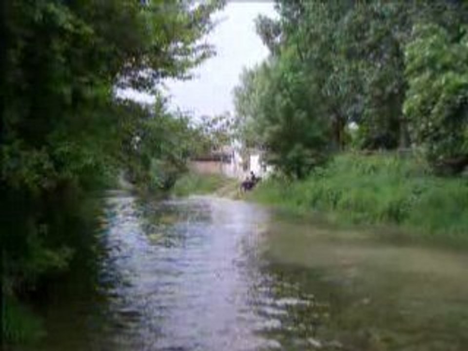 quad sym quadlander 300