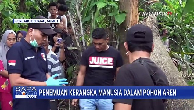 Geger! Warga Temukan Kerangka Manusia di Dalam Pohon Aren | SAPA PAGI