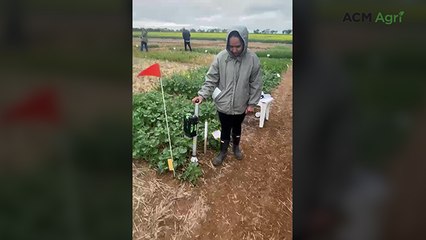Weed-burning stick works after just five seconds of treatment