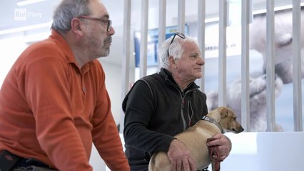 Pet Anatomy - S1E6 - Io per te, tu per me - Video