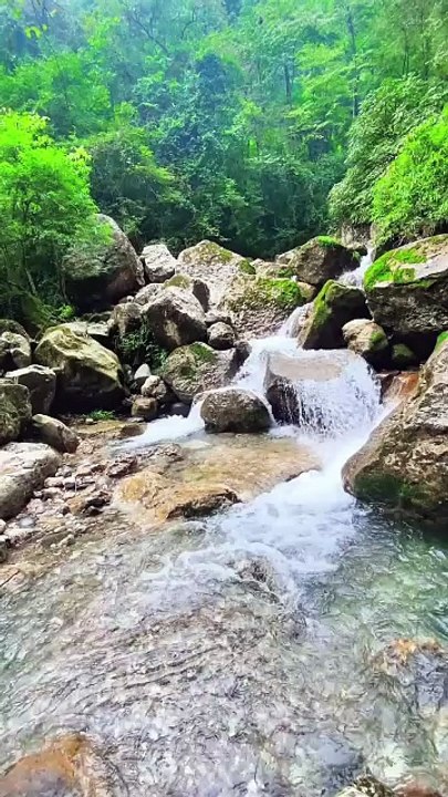 ASMR Water Flow In Forest