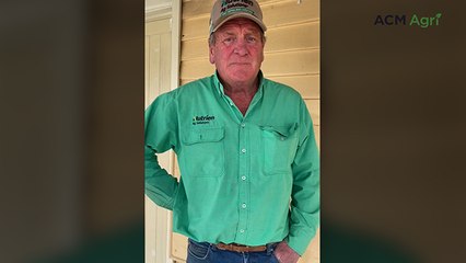 Bairnsdale yarding 'huge for season' as lighter cattle fetch over 600c/kg