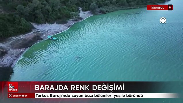 İstanbul Terkos Barajı'nda suyun bazı bölümleri yeşile büründü