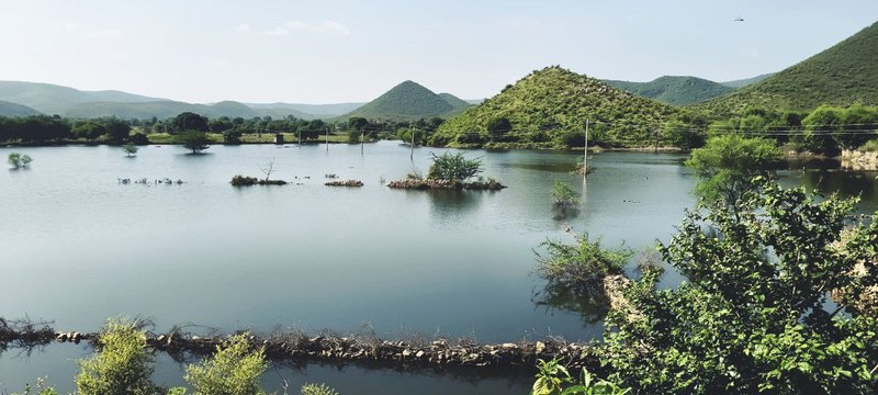 VIDEO: बीधोता बांध लबालब, कुओं का बढ़ा जलस्तर लेकिन खेतों में डूबी फसलें