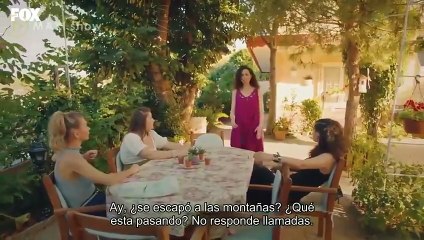 Sen Cal Kapimi Capítulo 9 (en Español) Love is in the Air