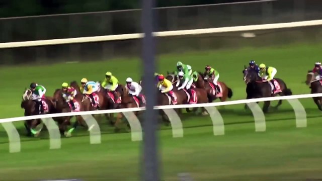 Tasmania racing stewards found to have placed bets while on duty