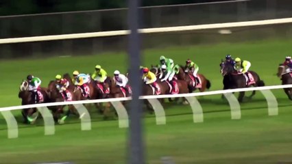 Tasmania racing stewards found to have placed bets while on duty