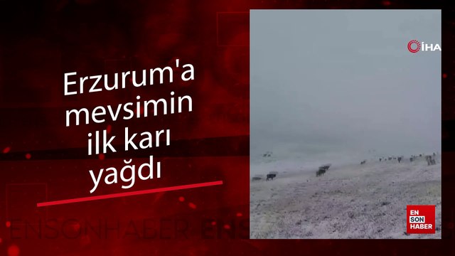 Erzurum'a mevsimin ilk karı yağdı