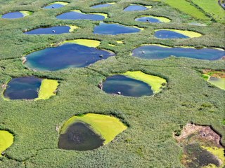 Sanki çölün ortasında bir vaha: Göl Baba Sulak Alanı