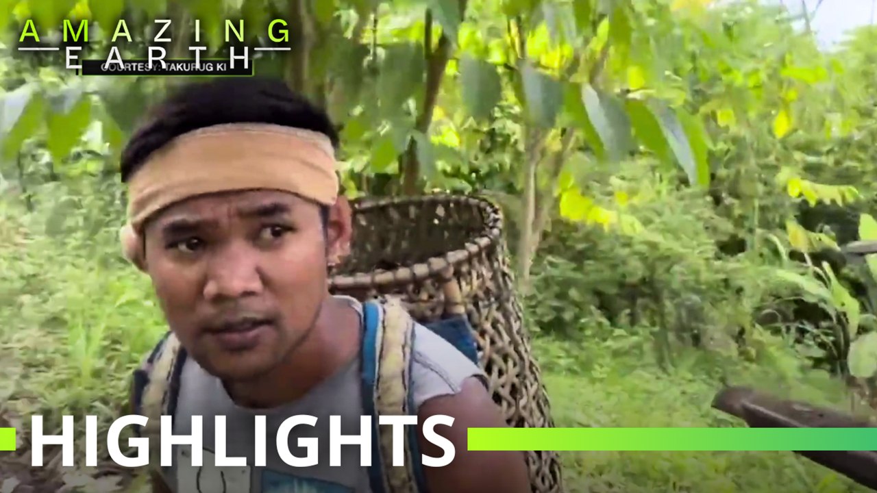 Amazing Earth: Robert Cahapon explores the forests of Bukidnon!