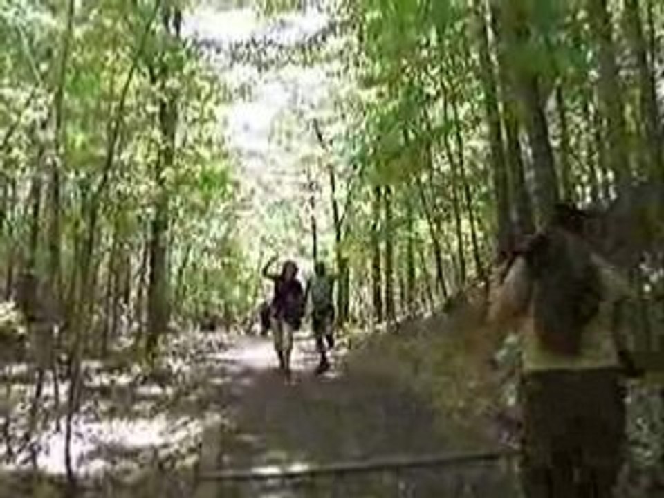 JOYEUX MARCHEURS CLUB DE MARCHE